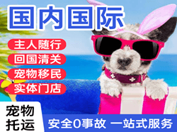 云冈国际宠物托运 【国